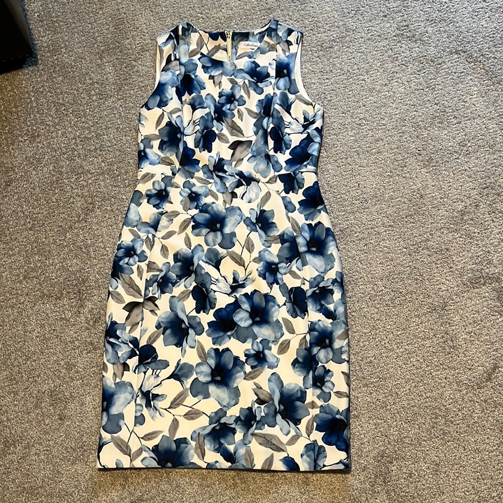 Size 12 Calvin Klein Dress